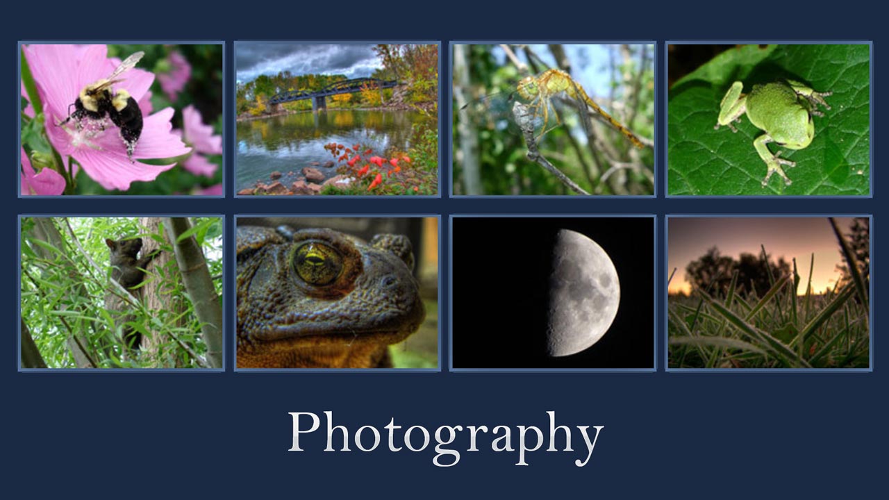 General Multimedia Examples